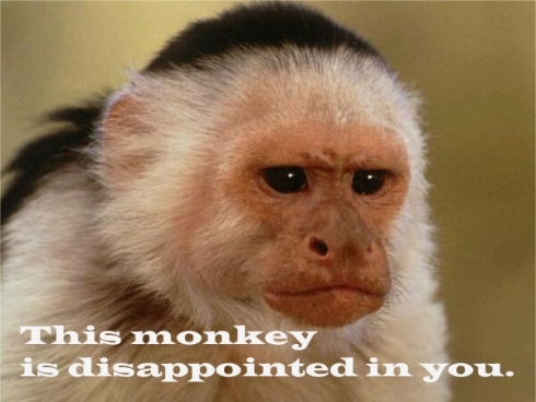 disappointed-monkey.jpg?w=490&h=368